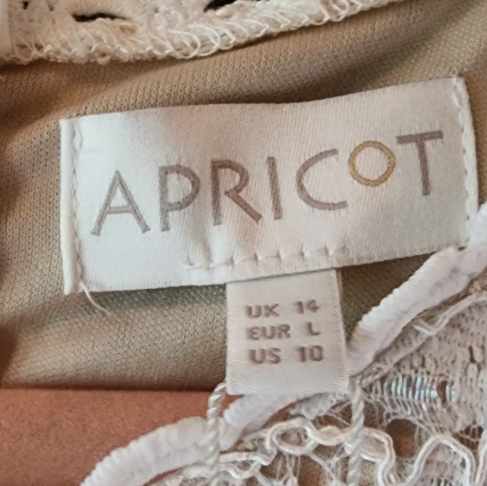 APRICOT Cream Lace Dress Size 10 Large Lined Fit & Flare Skater NEW - Picture 10 of 16